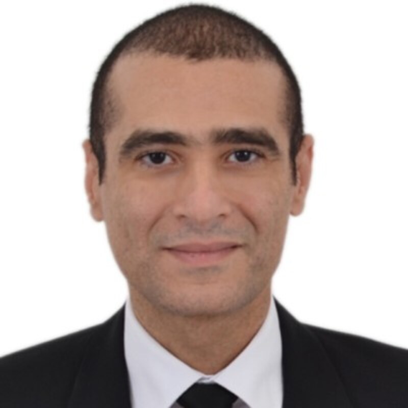 Mr. Mohammed Eissawi